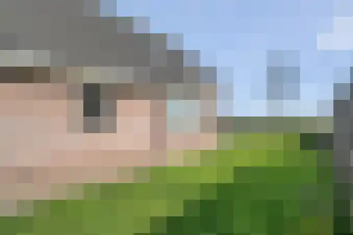 Langedijk 25 Koekange thumbnail 48