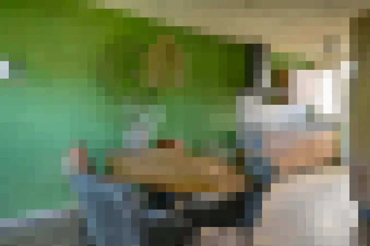 Langedijk 6 Hollandscheveld thumbnail 10