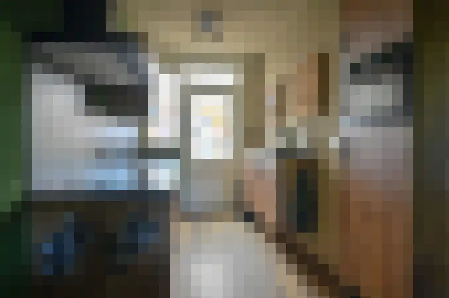 Langedijk 6 Hollandscheveld thumbnail 11