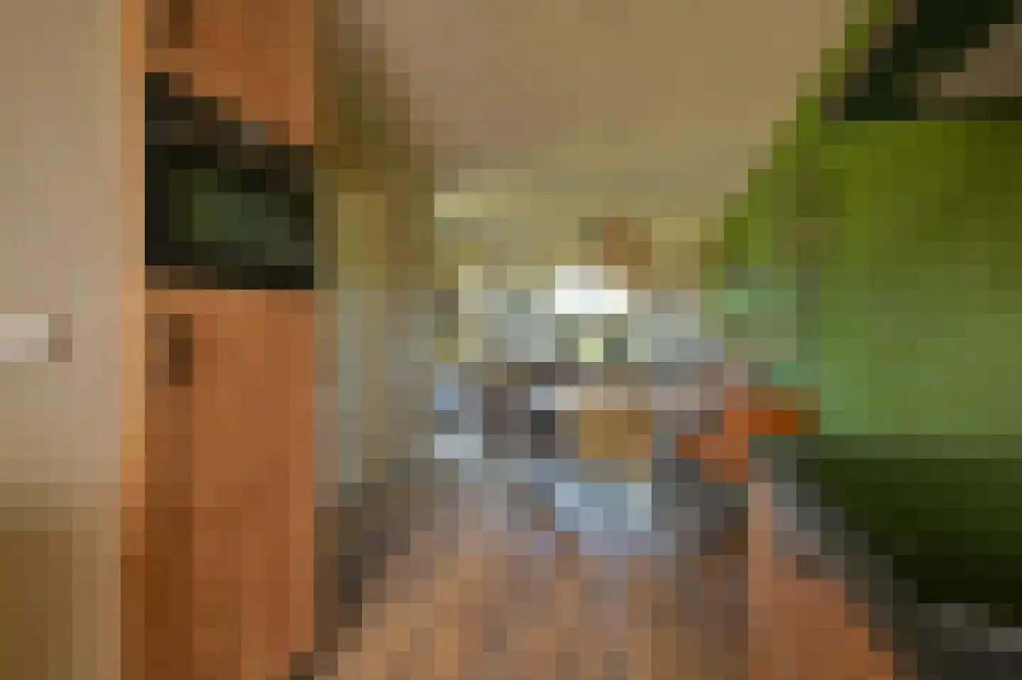 Langedijk 6 Hollandscheveld thumbnail 13