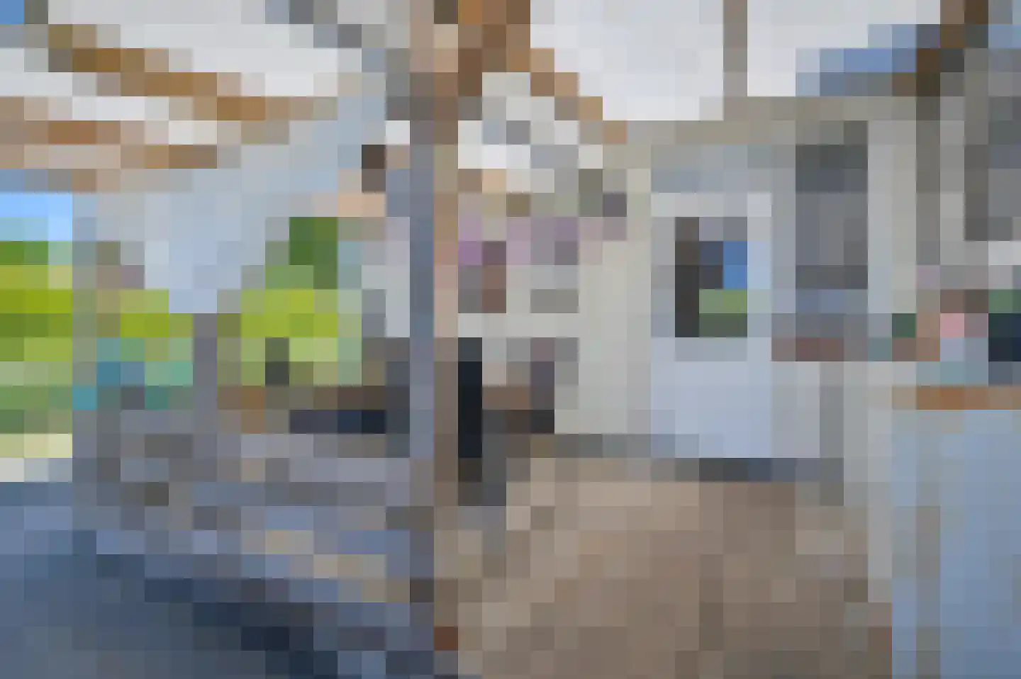 Langedijk 6 Hollandscheveld thumbnail 30