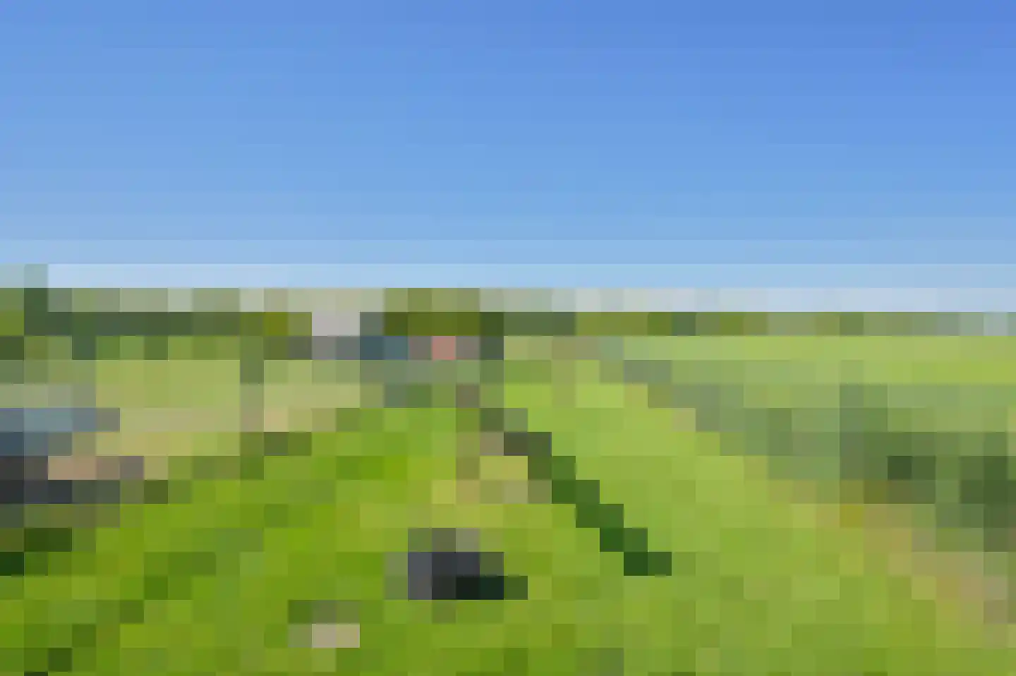 Langedijk 6 Hollandscheveld thumbnail 39