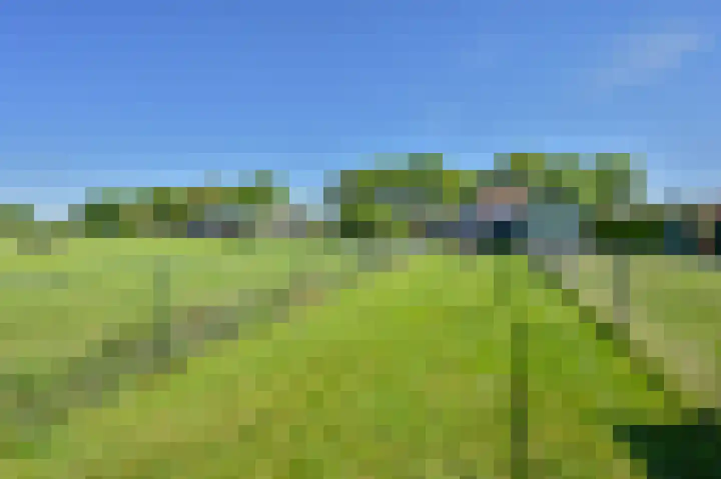 Langedijk 6 Hollandscheveld thumbnail 41