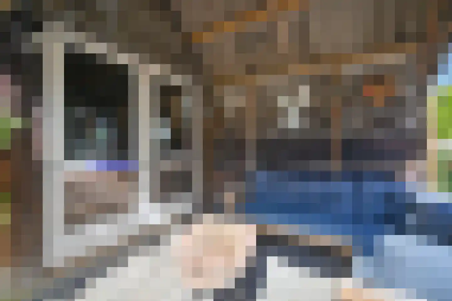 Langedijk 6 Hollandscheveld thumbnail 43