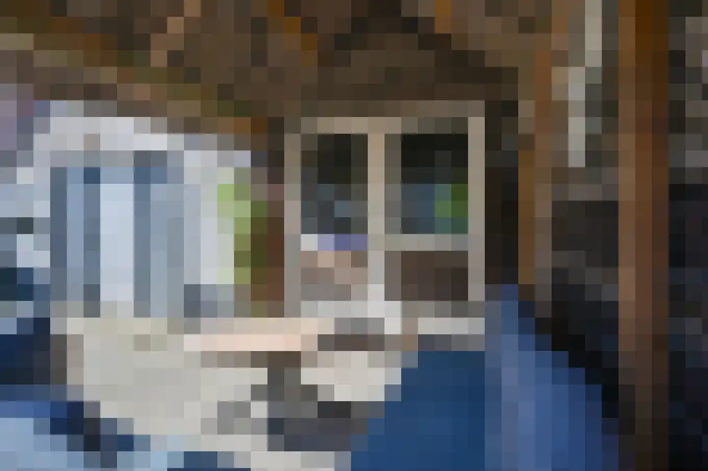 Langedijk 6 Hollandscheveld thumbnail 44