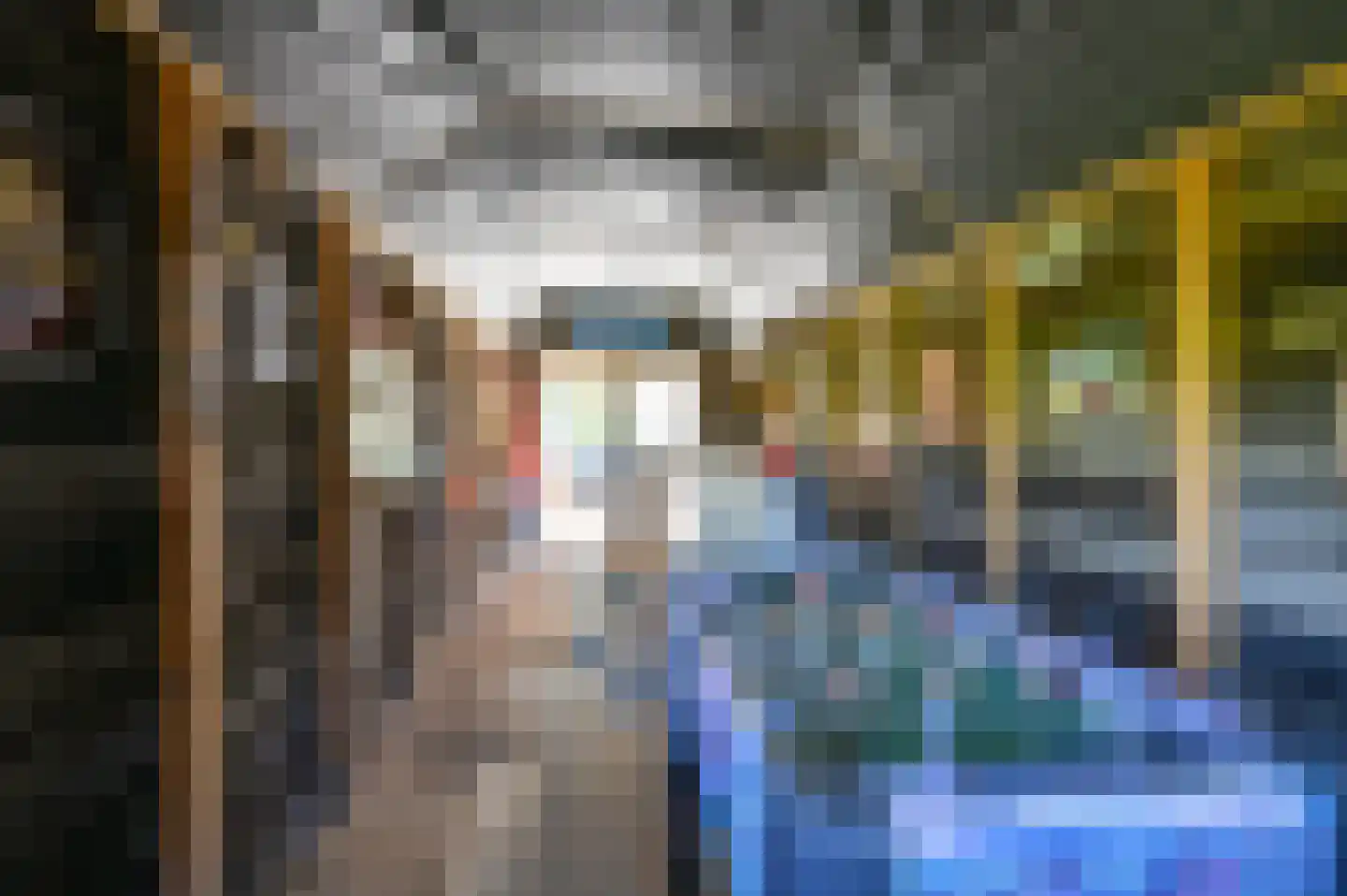 Langedijk 6 Hollandscheveld thumbnail 46
