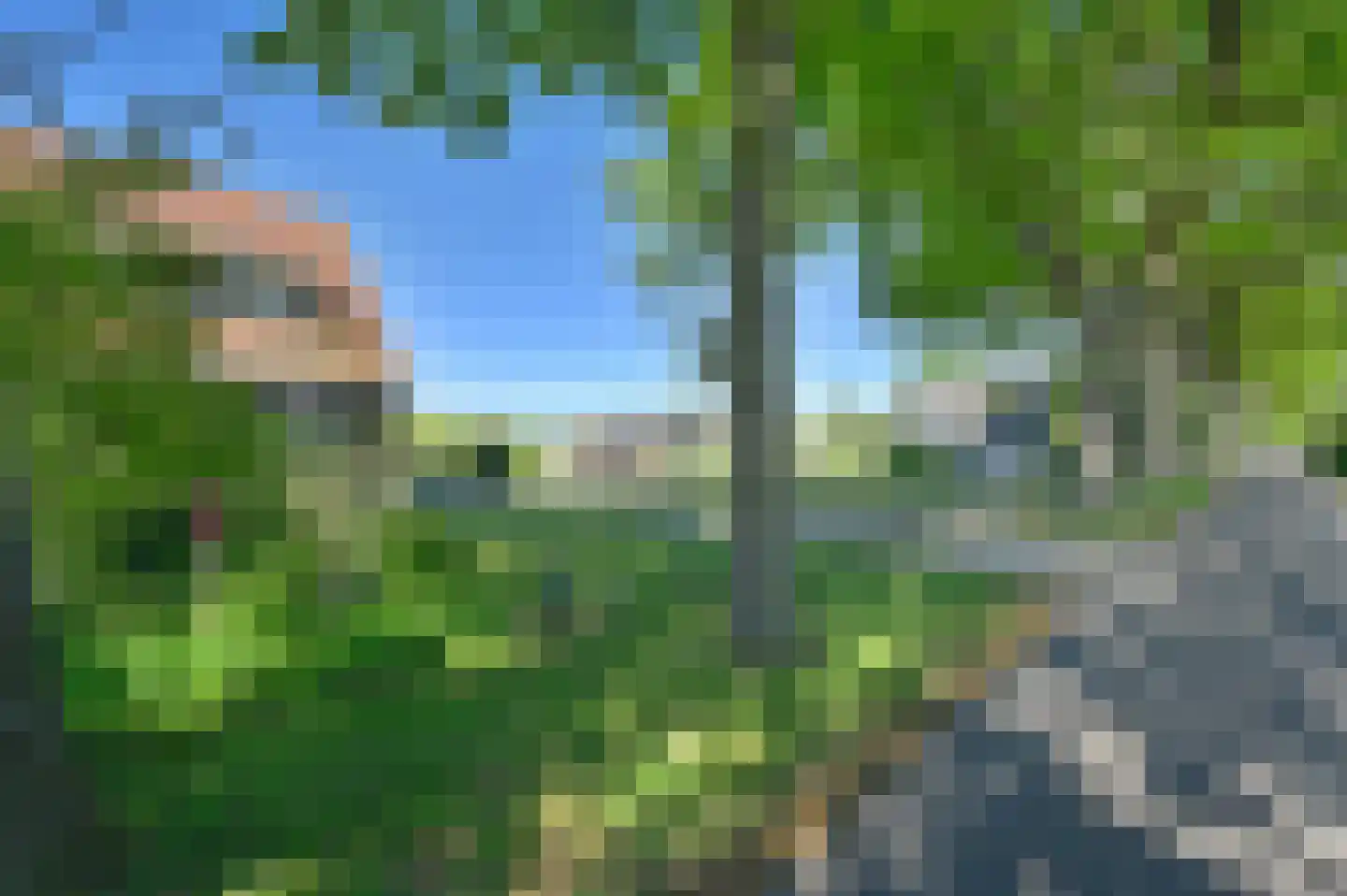 Langedijk 6 Hollandscheveld thumbnail 47