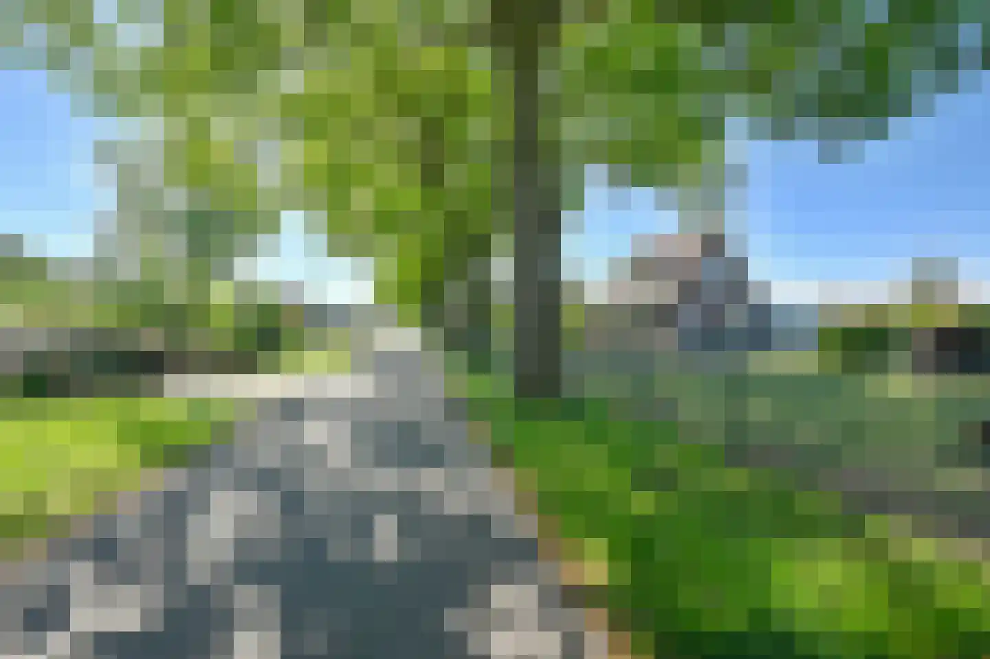Langedijk 6 Hollandscheveld thumbnail 49