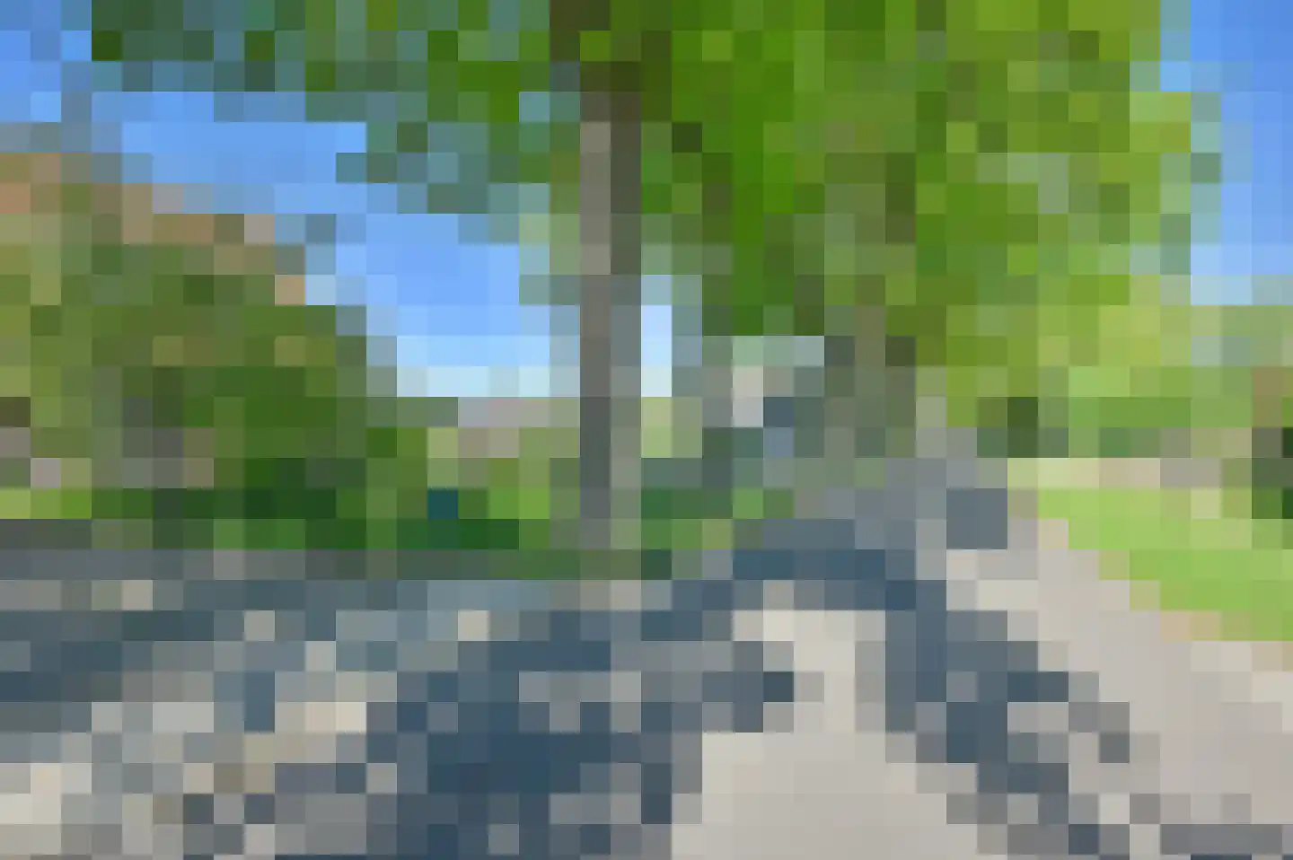 Langedijk 6 Hollandscheveld thumbnail 50