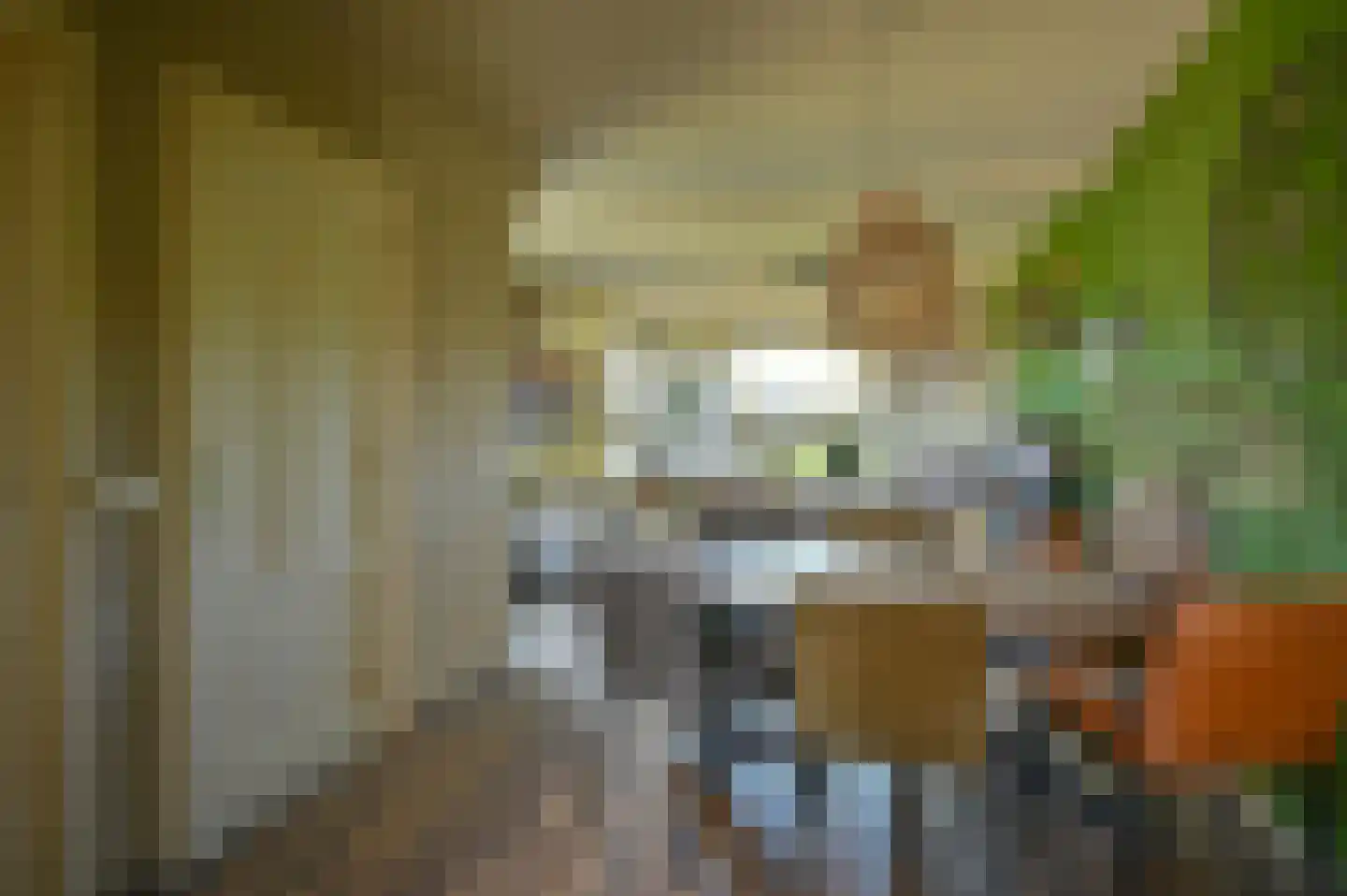 Langedijk 6 Hollandscheveld thumbnail 6