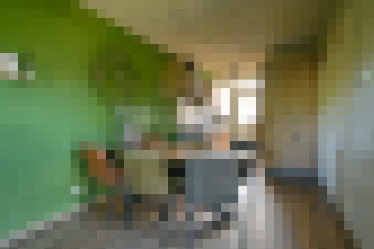 Langedijk 6 Hollandscheveld thumbnail 9