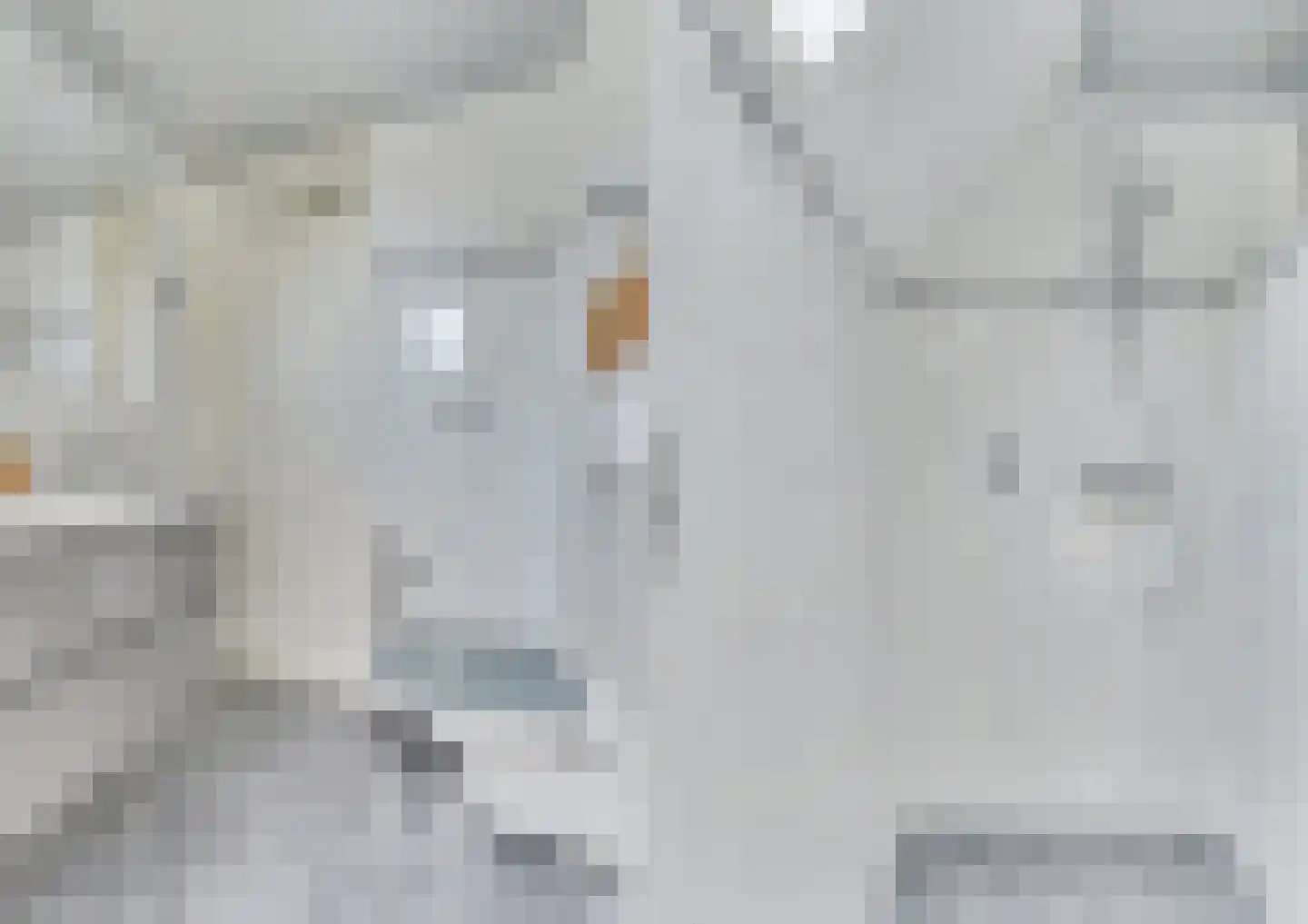 Langedijker 27 Warmenhuizen thumbnail 32