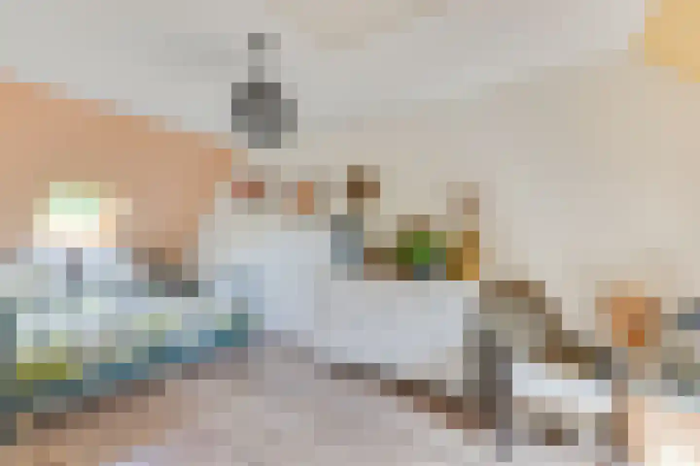 Langedijker 27 Warmenhuizen thumbnail 36