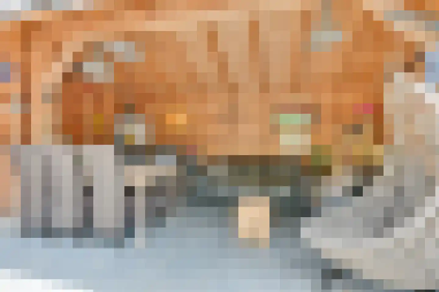Langedijker 27 Warmenhuizen thumbnail 47