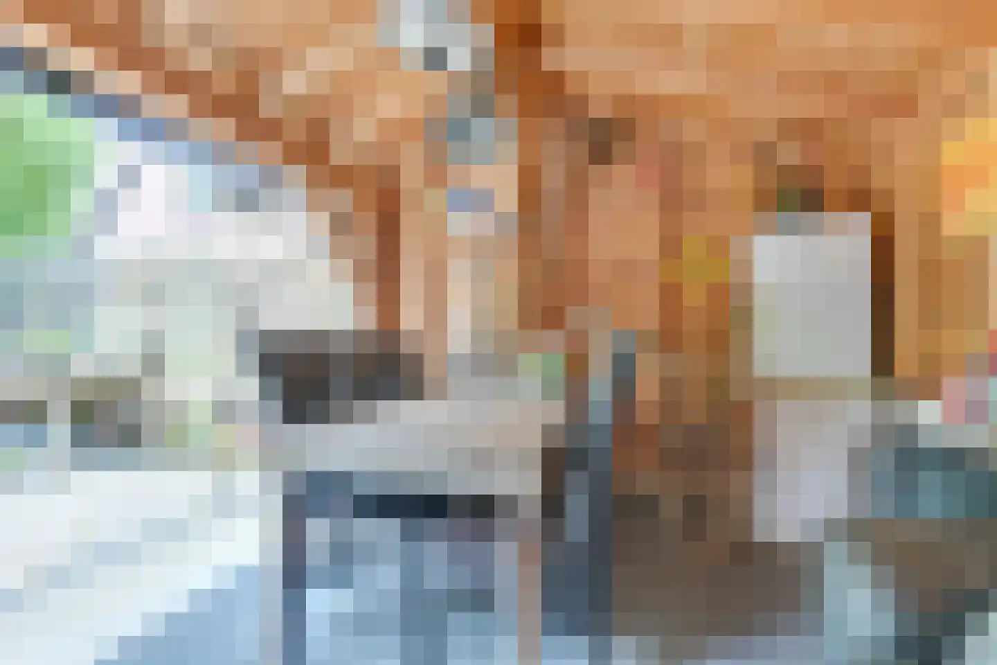 Langedijker 27 Warmenhuizen thumbnail 48