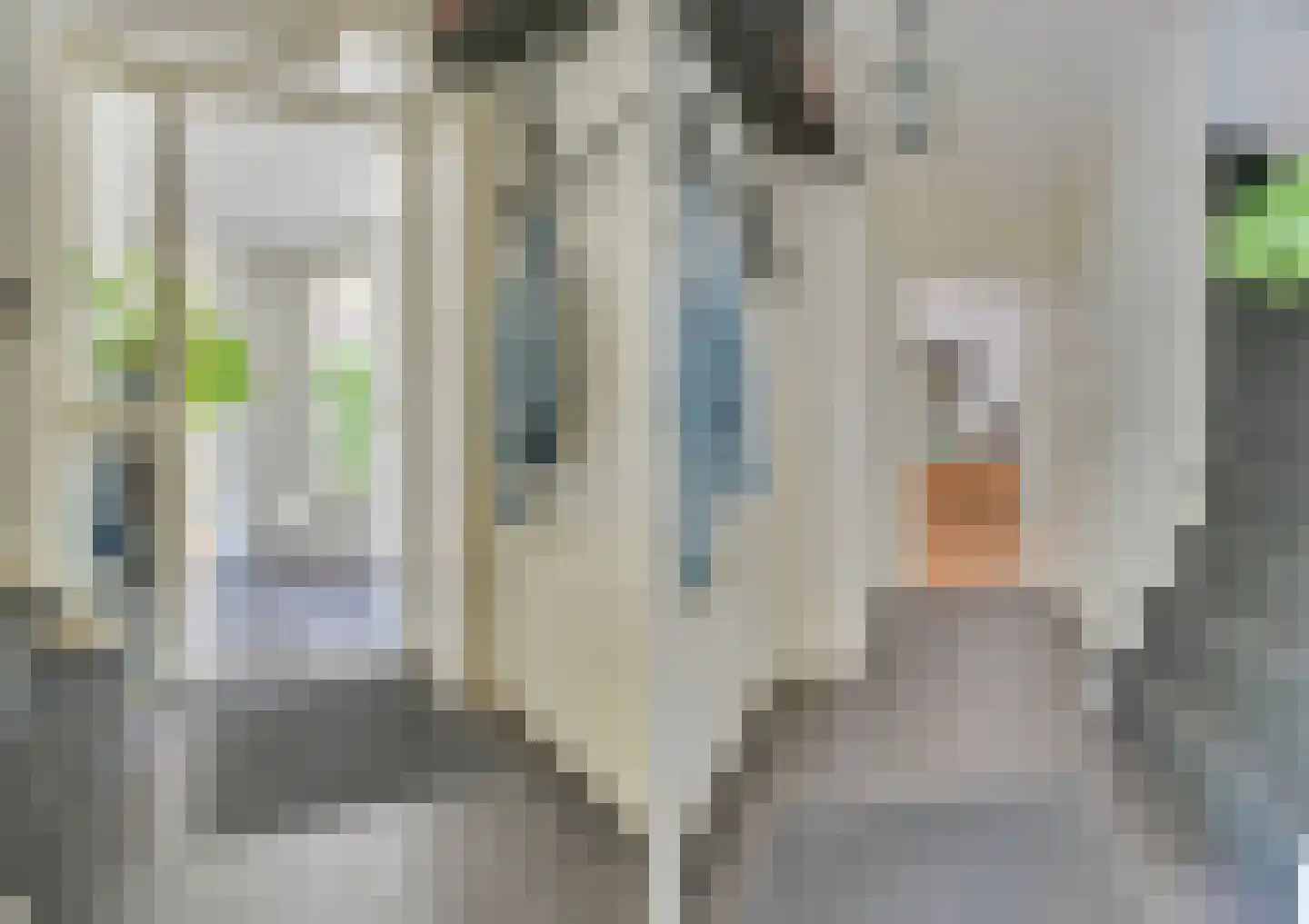 Langedijker 27 Warmenhuizen thumbnail 9
