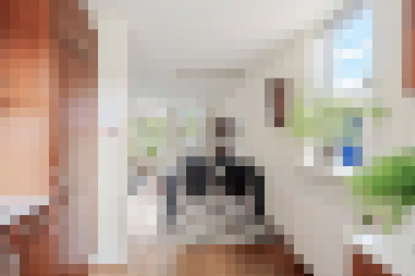 Langedijker 3 Warmenhuizen thumbnail 12