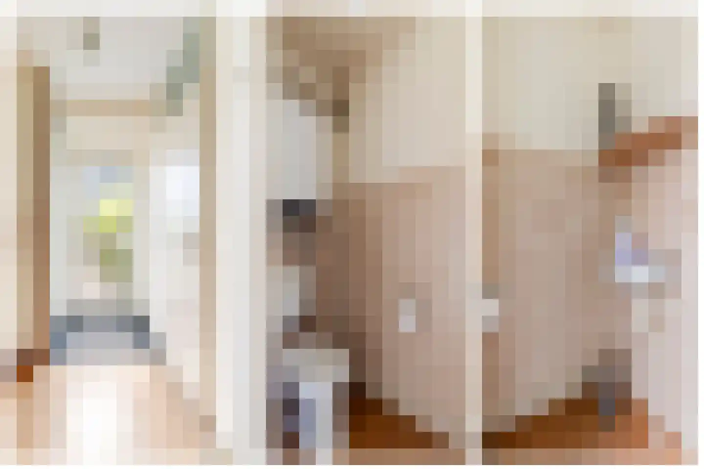 Langedijker 3 Warmenhuizen thumbnail 13