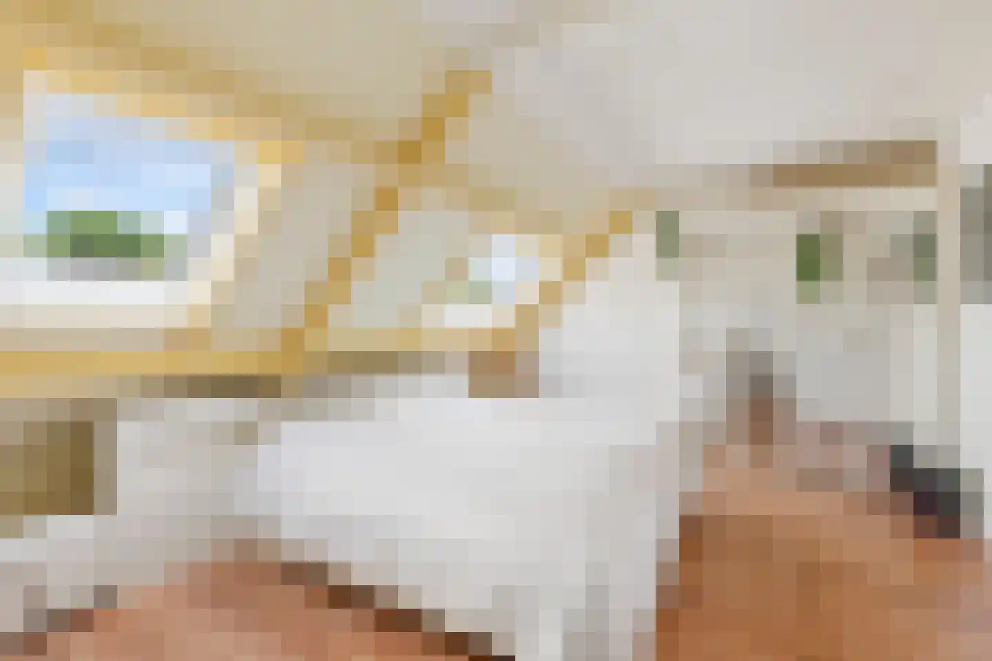 Langedijker 3 Warmenhuizen thumbnail 15