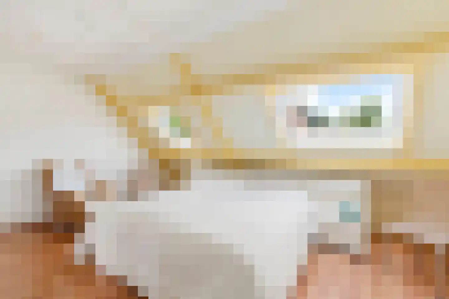 Langedijker 3 Warmenhuizen thumbnail 16