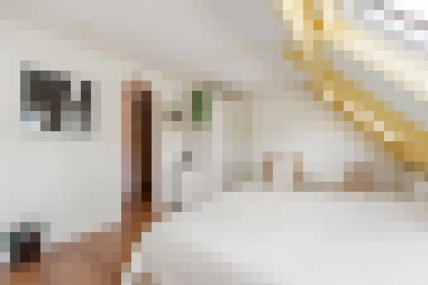 Langedijker 3 Warmenhuizen thumbnail 17