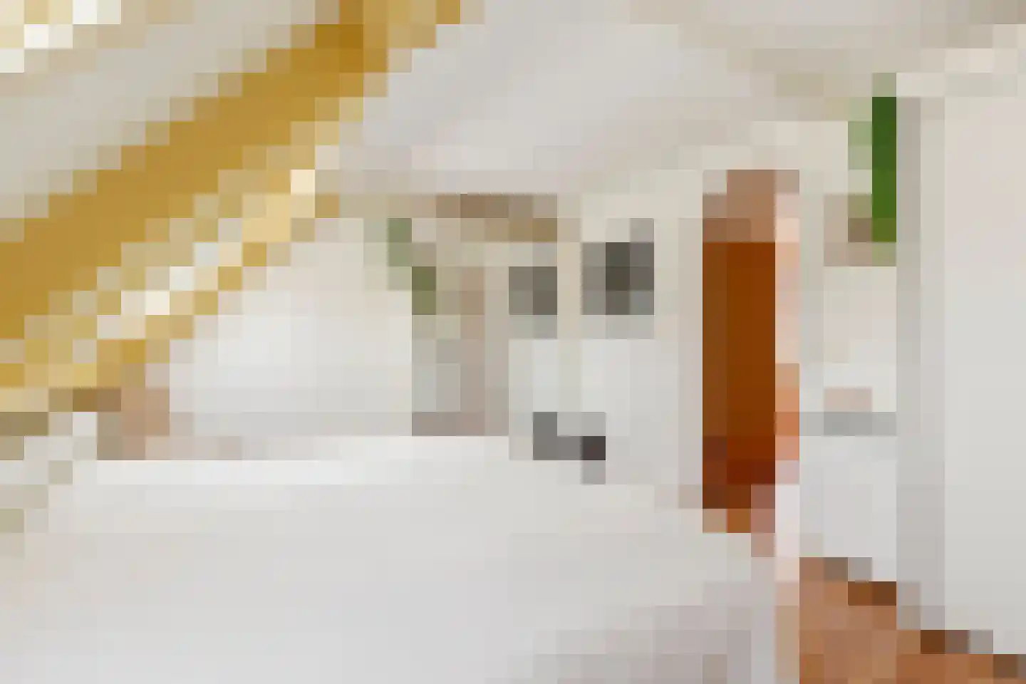 Langedijker 3 Warmenhuizen thumbnail 18