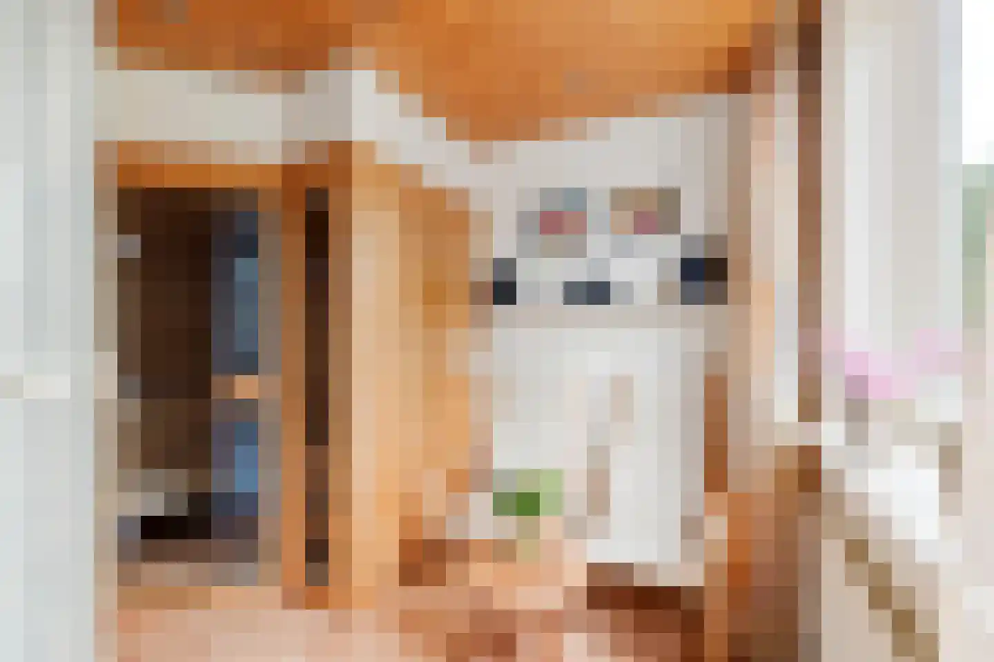 Langedijker 3 Warmenhuizen thumbnail 20