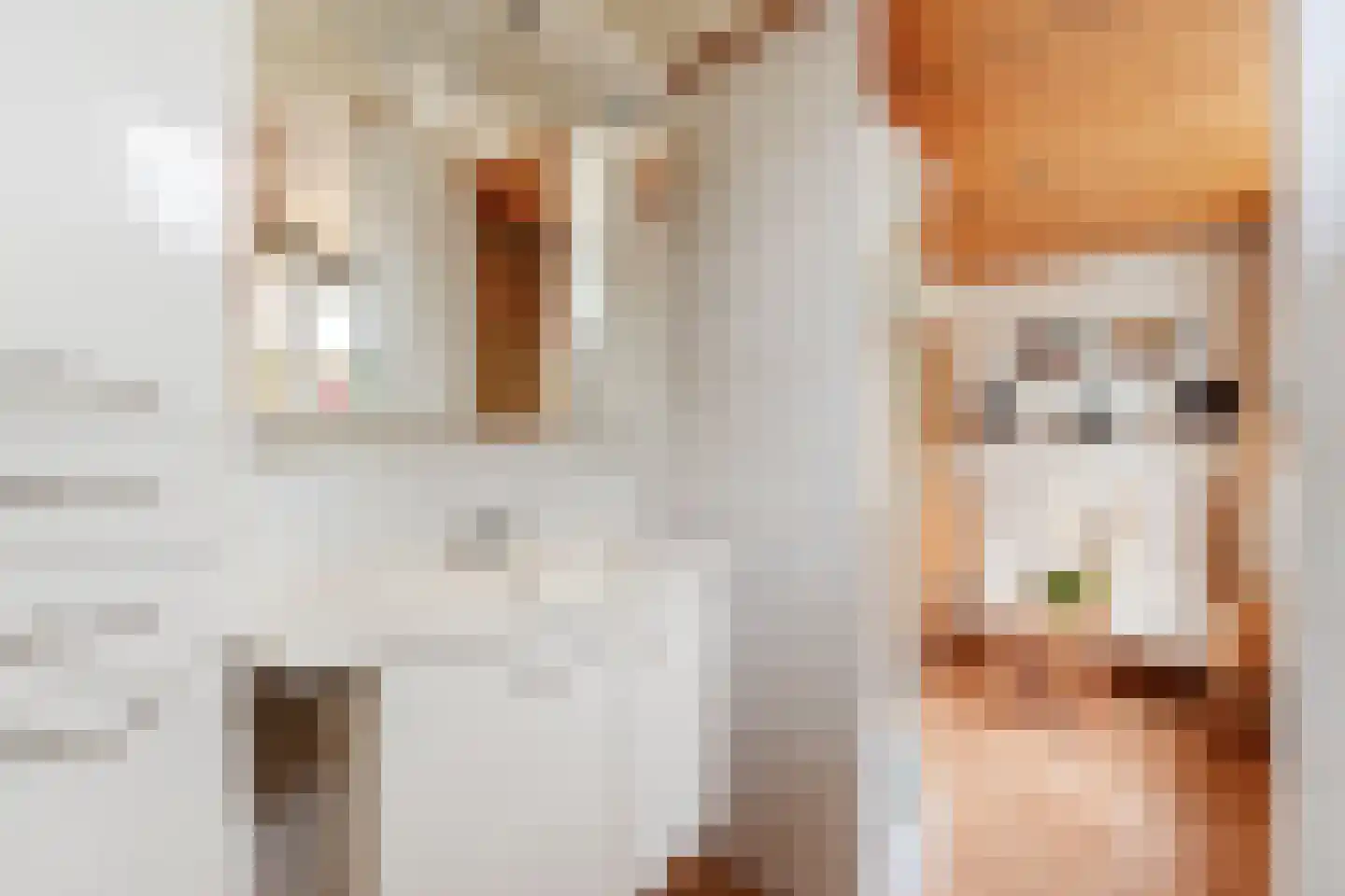 Langedijker 3 Warmenhuizen thumbnail 21