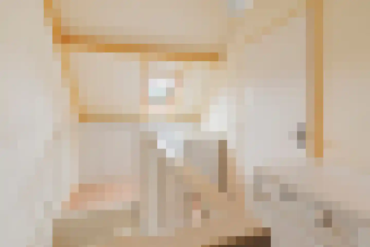 Langedijker 3 Warmenhuizen thumbnail 27