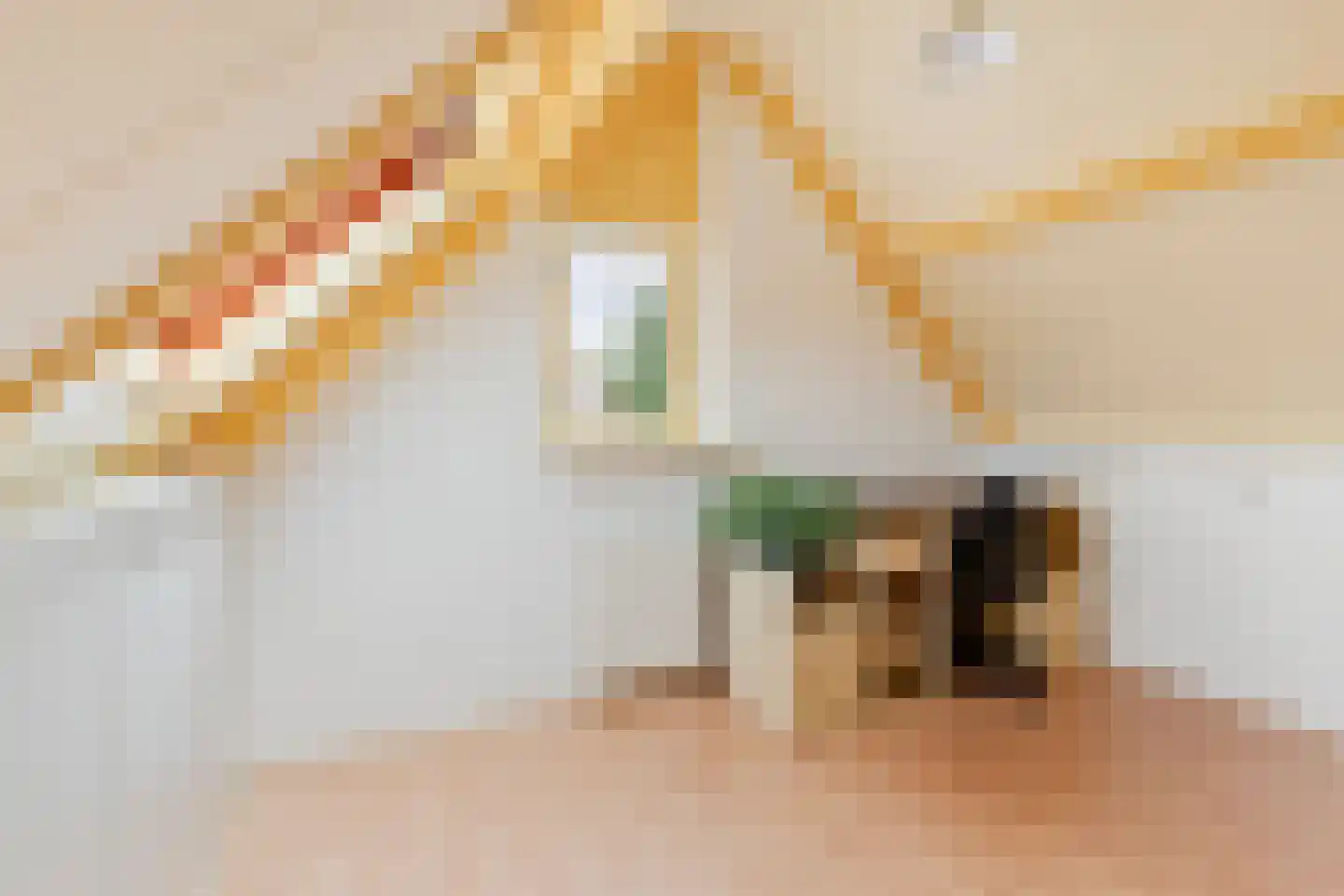 Langedijker 3 Warmenhuizen thumbnail 28