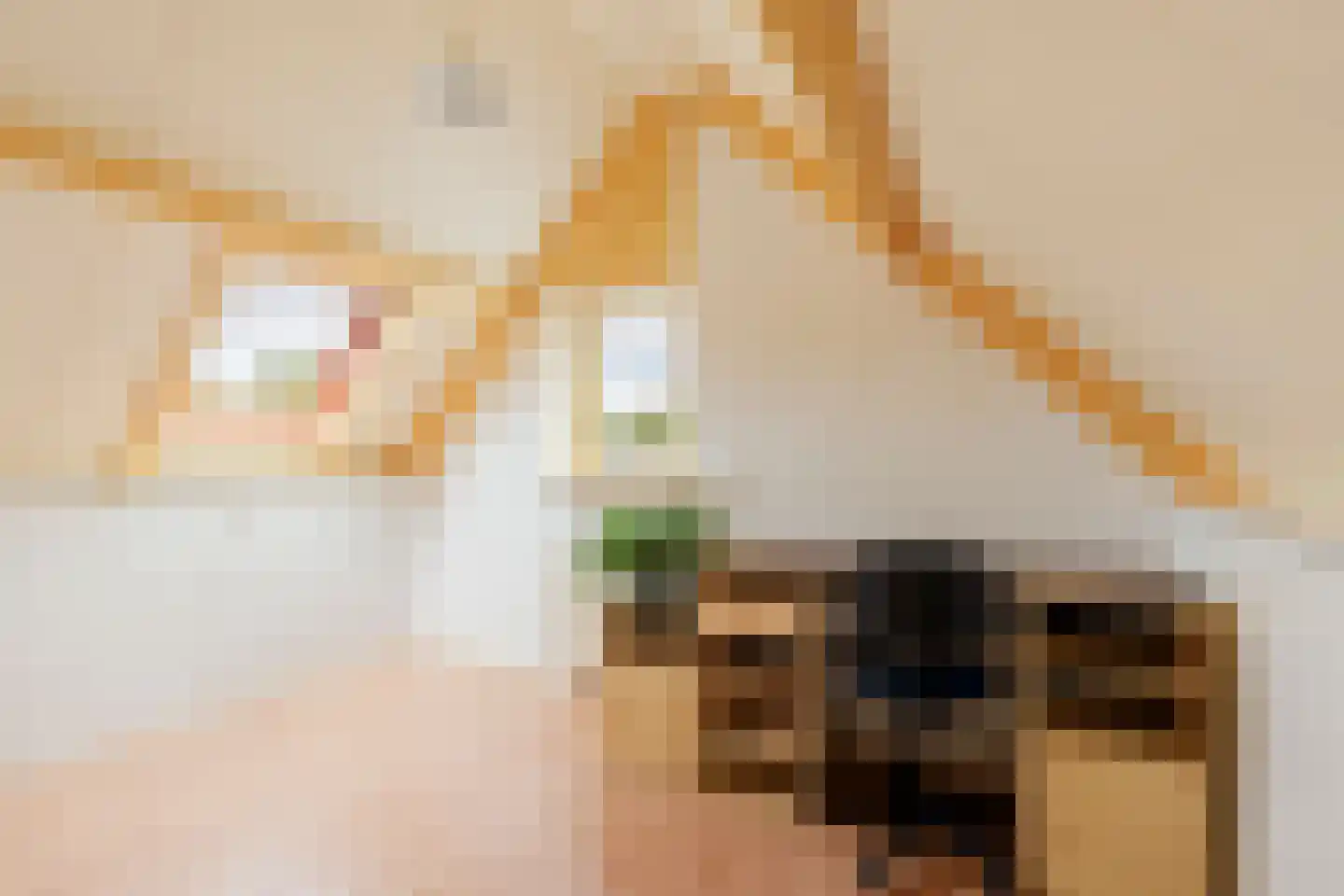 Langedijker 3 Warmenhuizen thumbnail 29