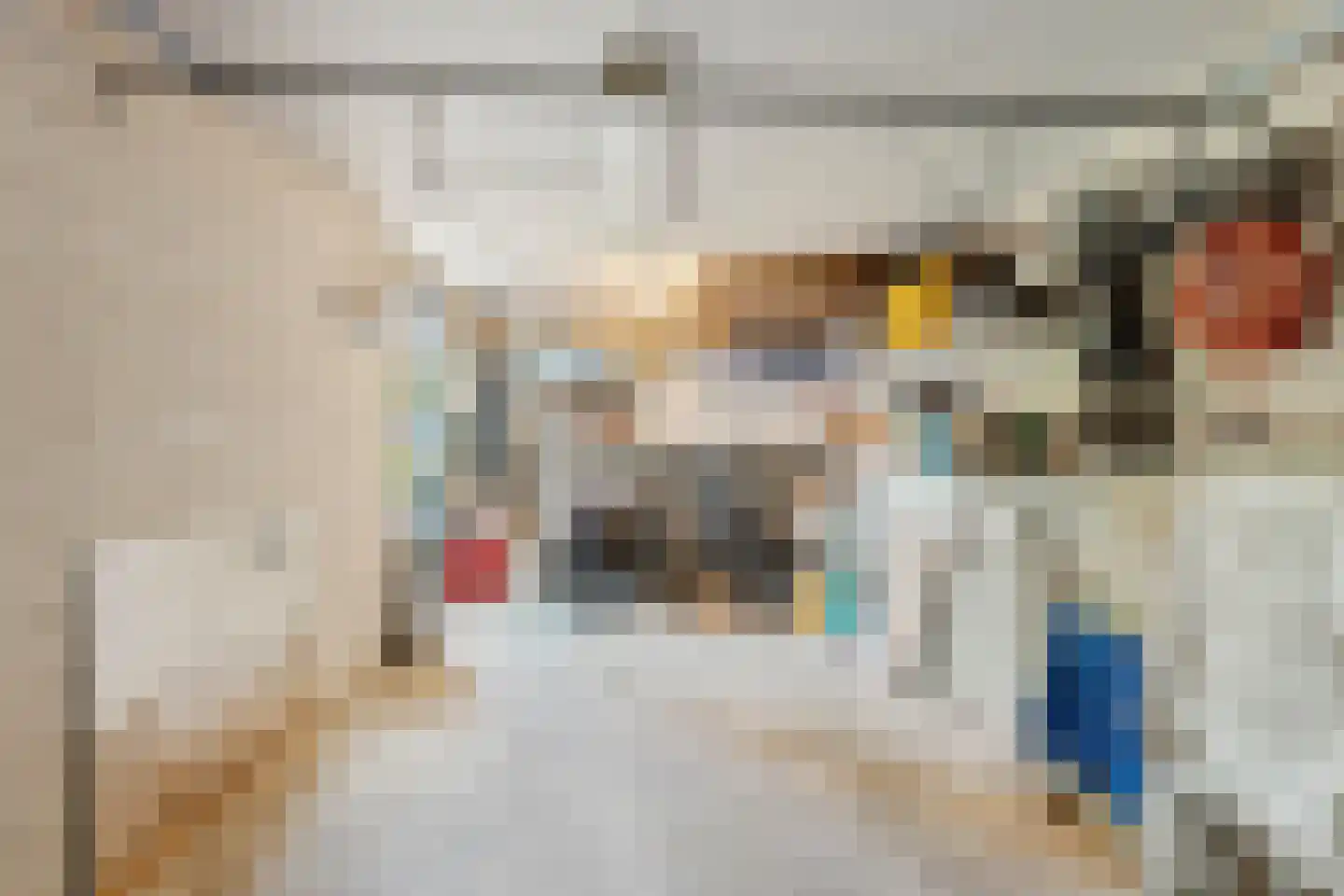 Langedijker 3 Warmenhuizen thumbnail 37