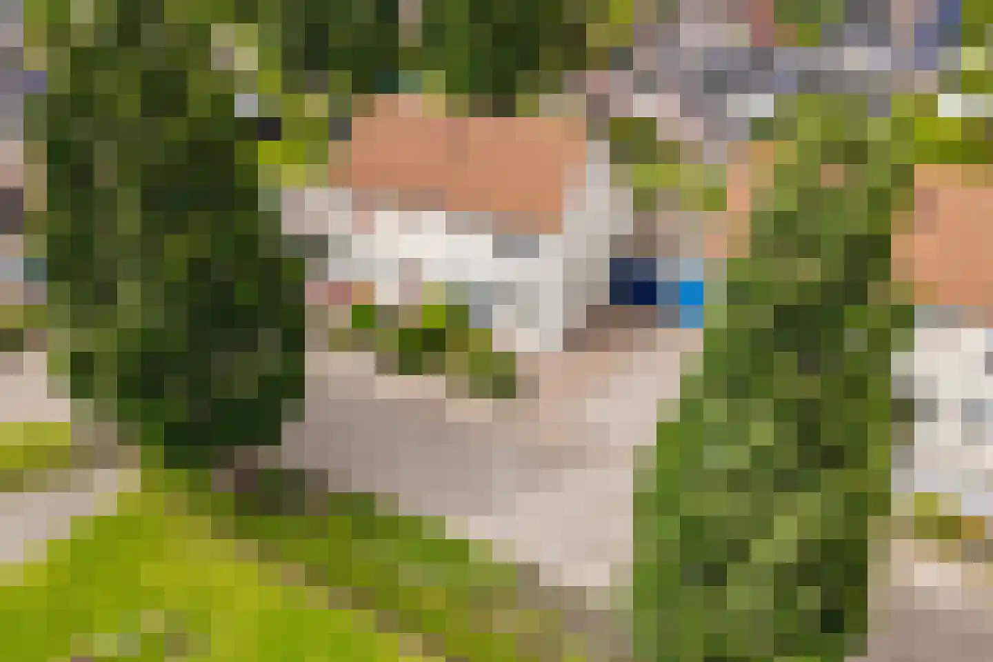 Langedijker 3 Warmenhuizen thumbnail 40