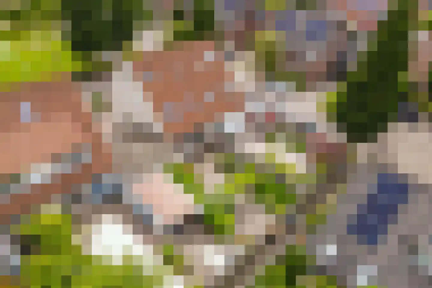 Langedijker 3 Warmenhuizen thumbnail 41