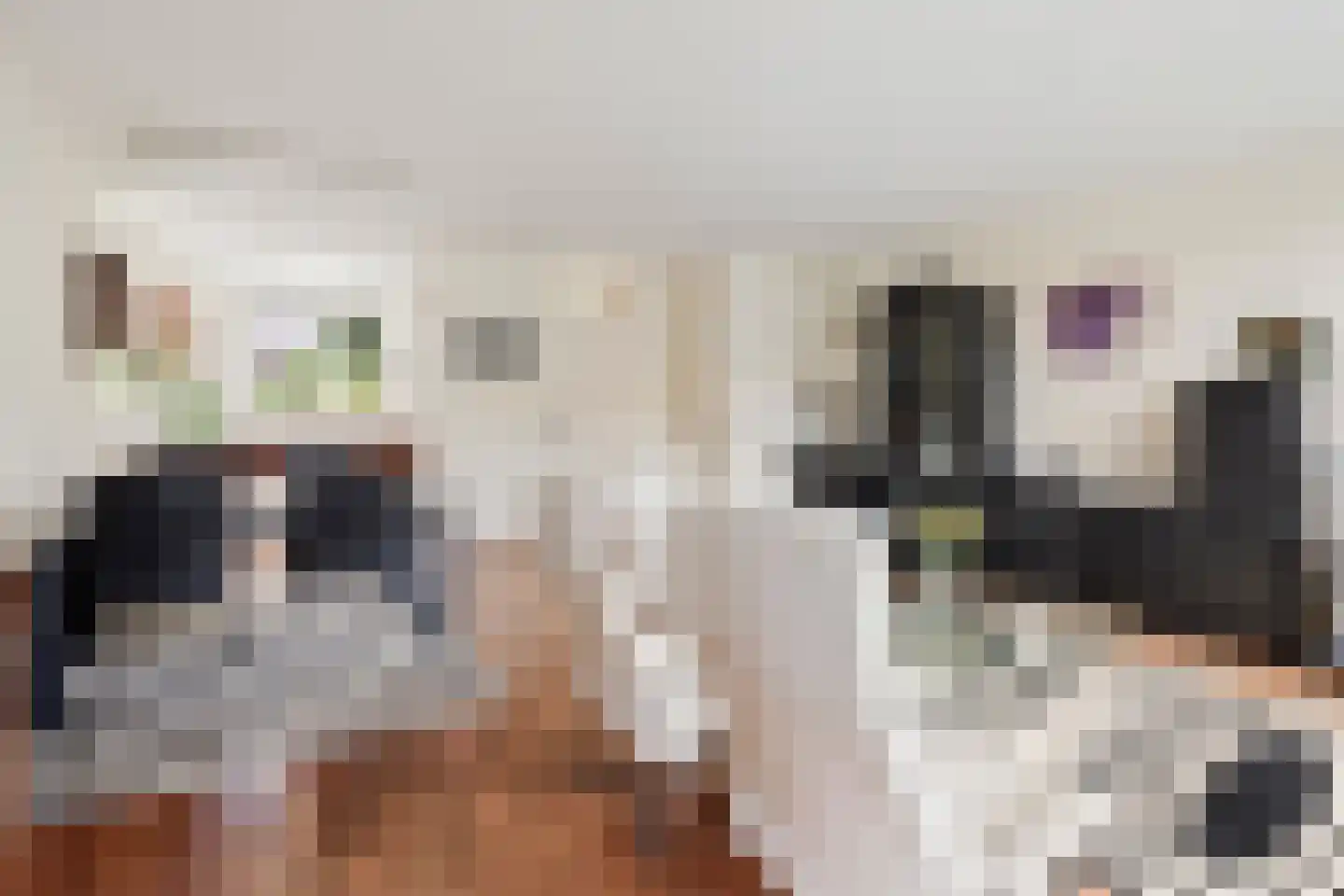 Langedijker 3 Warmenhuizen thumbnail 7