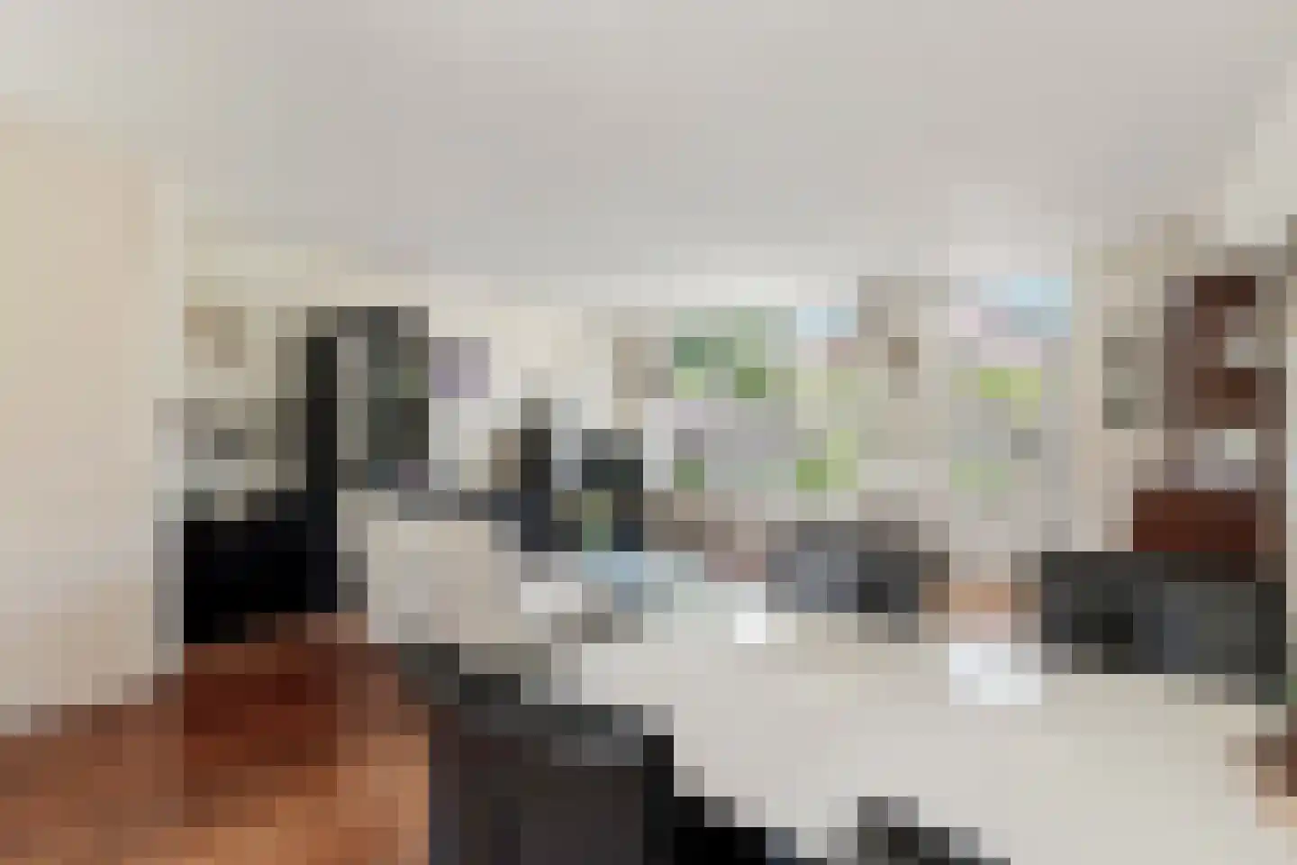 Langedijker 3 Warmenhuizen thumbnail 8