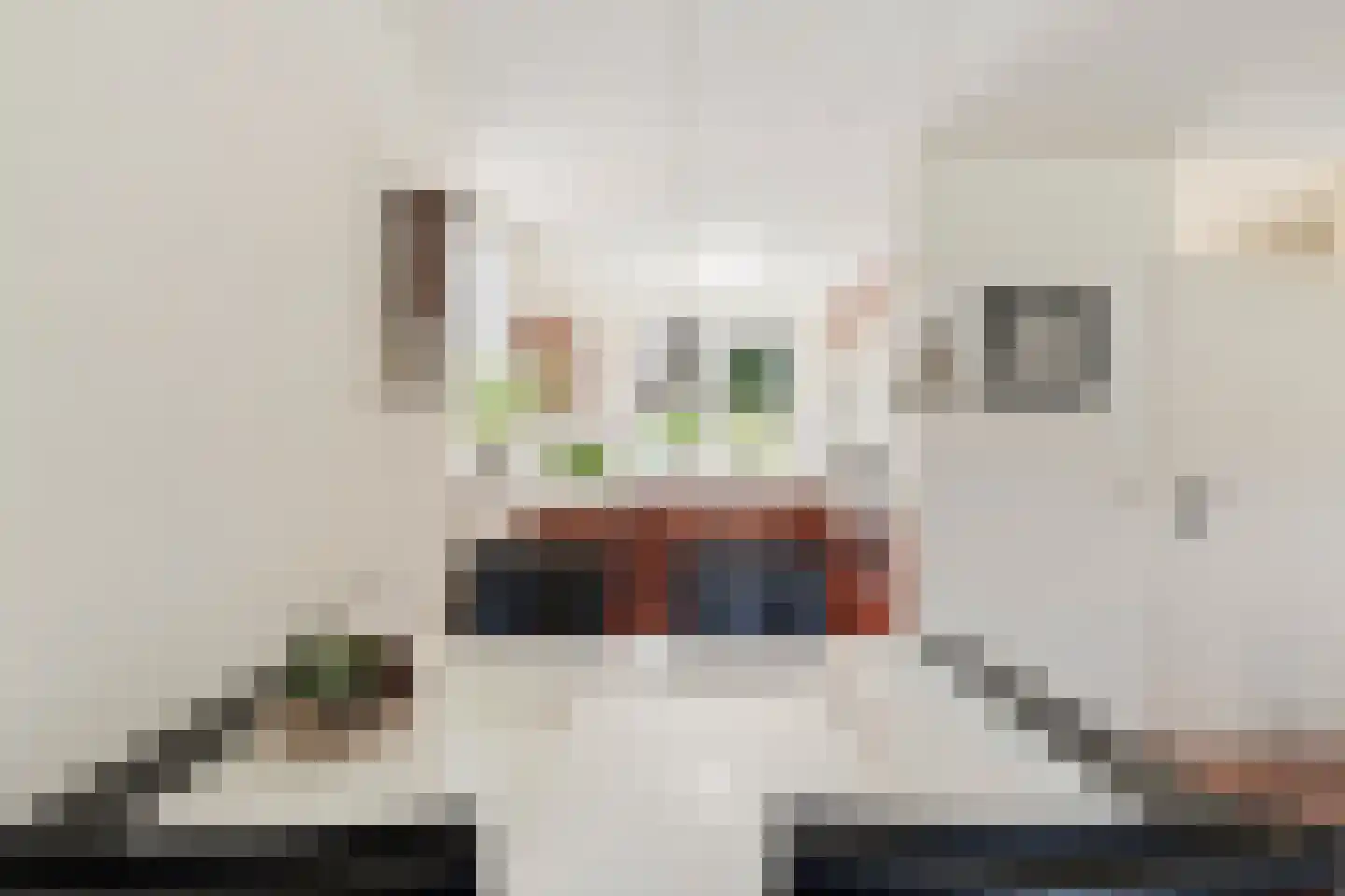 Langedijker 3 Warmenhuizen thumbnail 9