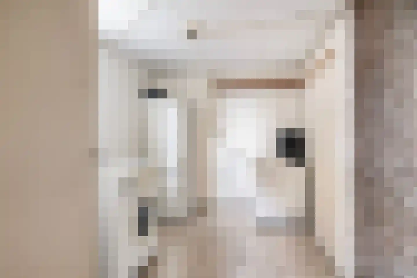Langedyk 21 Alde Leie thumbnail 12