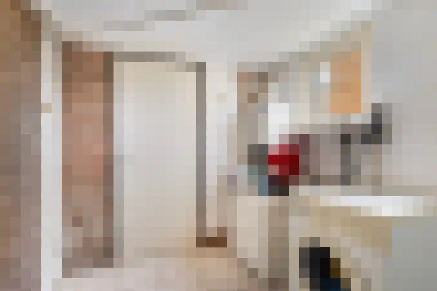 Langedyk 21 Alde Leie thumbnail 13
