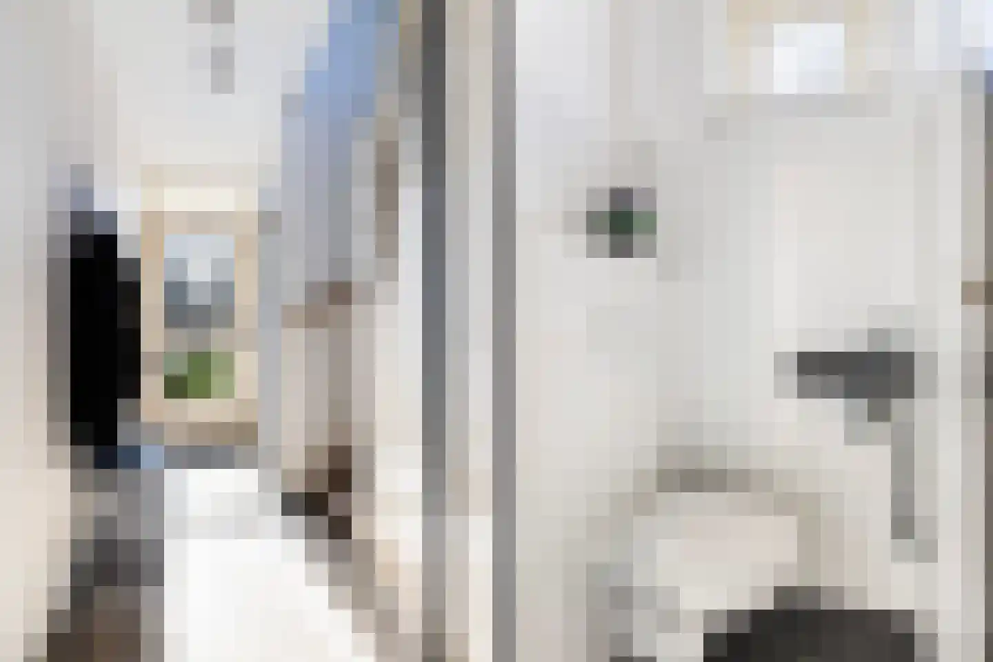 Langedyk 21 Alde Leie thumbnail 15