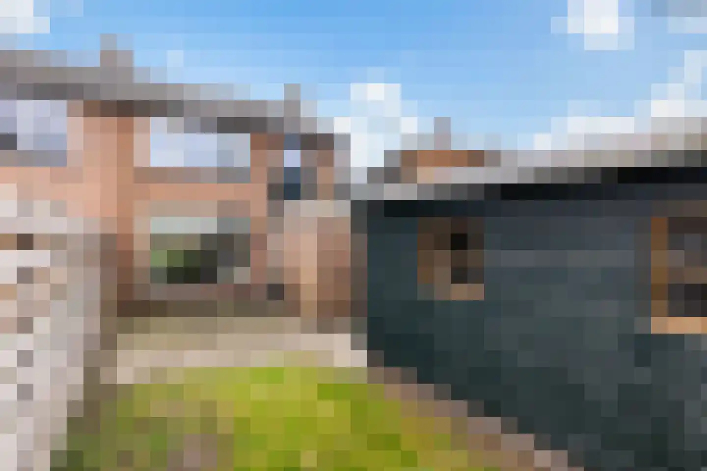 Langedyk 21 Alde Leie thumbnail 25