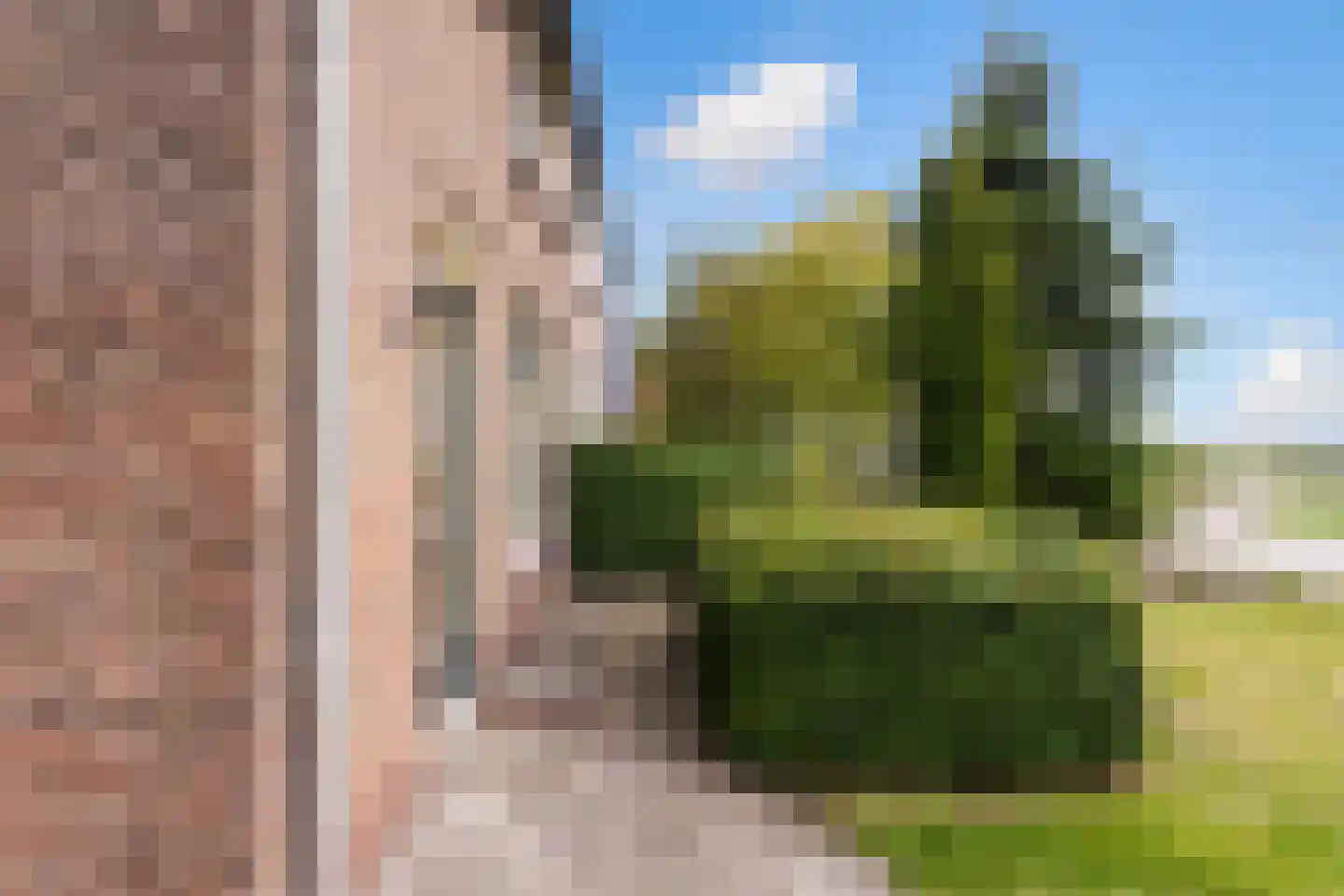 Langedyk 21 Alde Leie thumbnail 29
