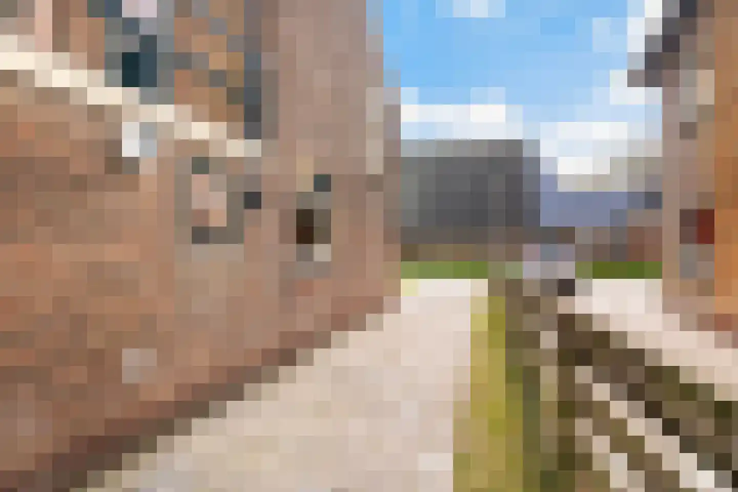 Langedyk 21 Alde Leie thumbnail 30