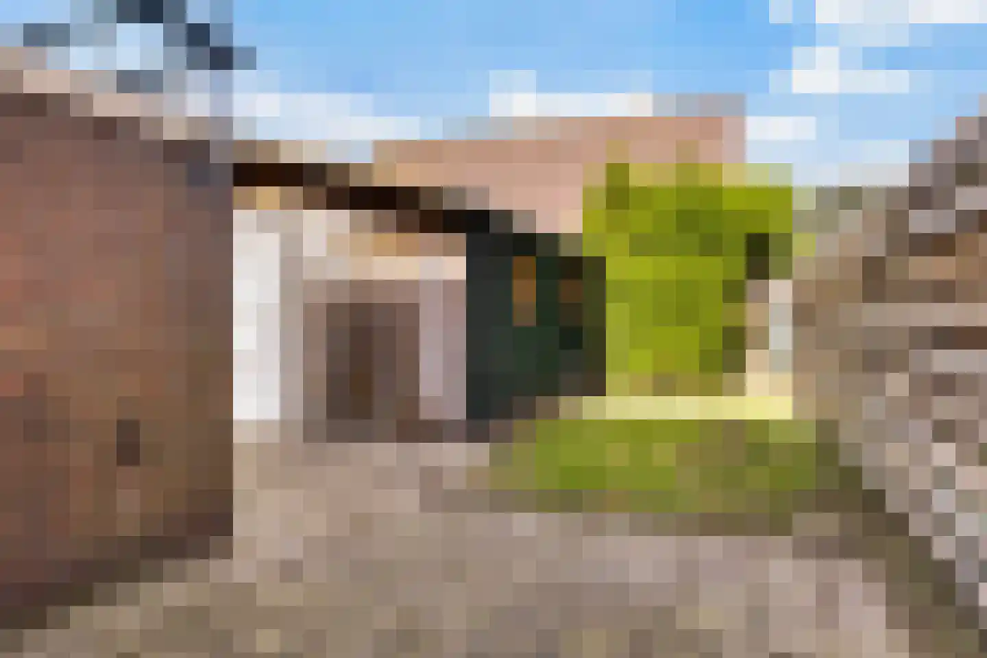 Langedyk 21 Alde Leie thumbnail 31
