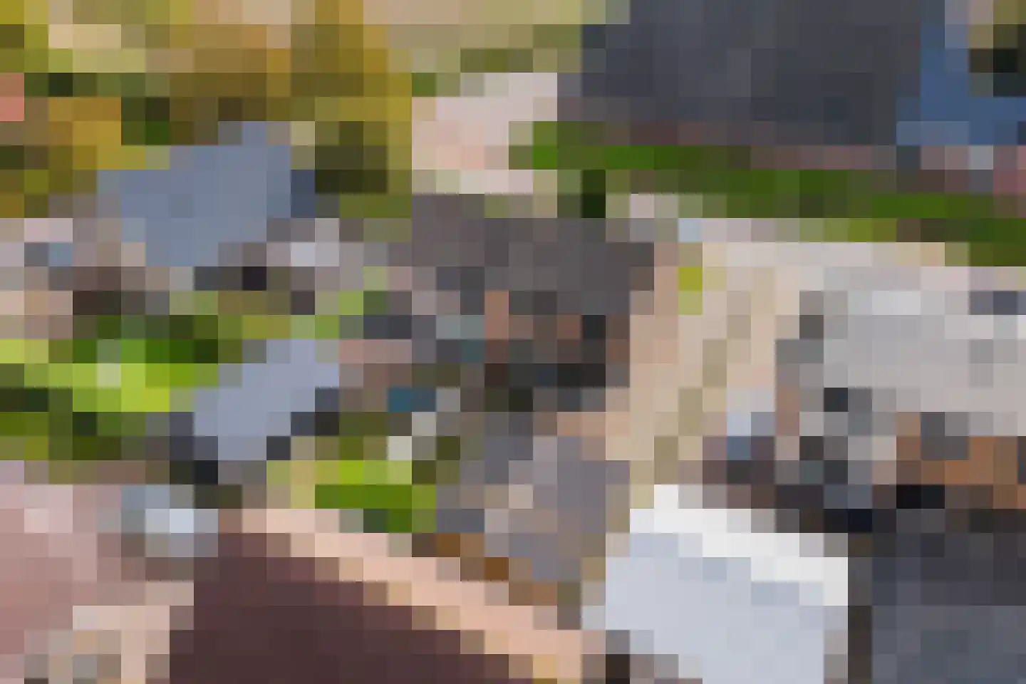 Langedyk 21 Alde Leie thumbnail 35