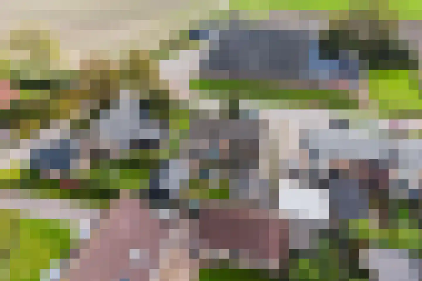 Langedyk 21 Alde Leie thumbnail 36