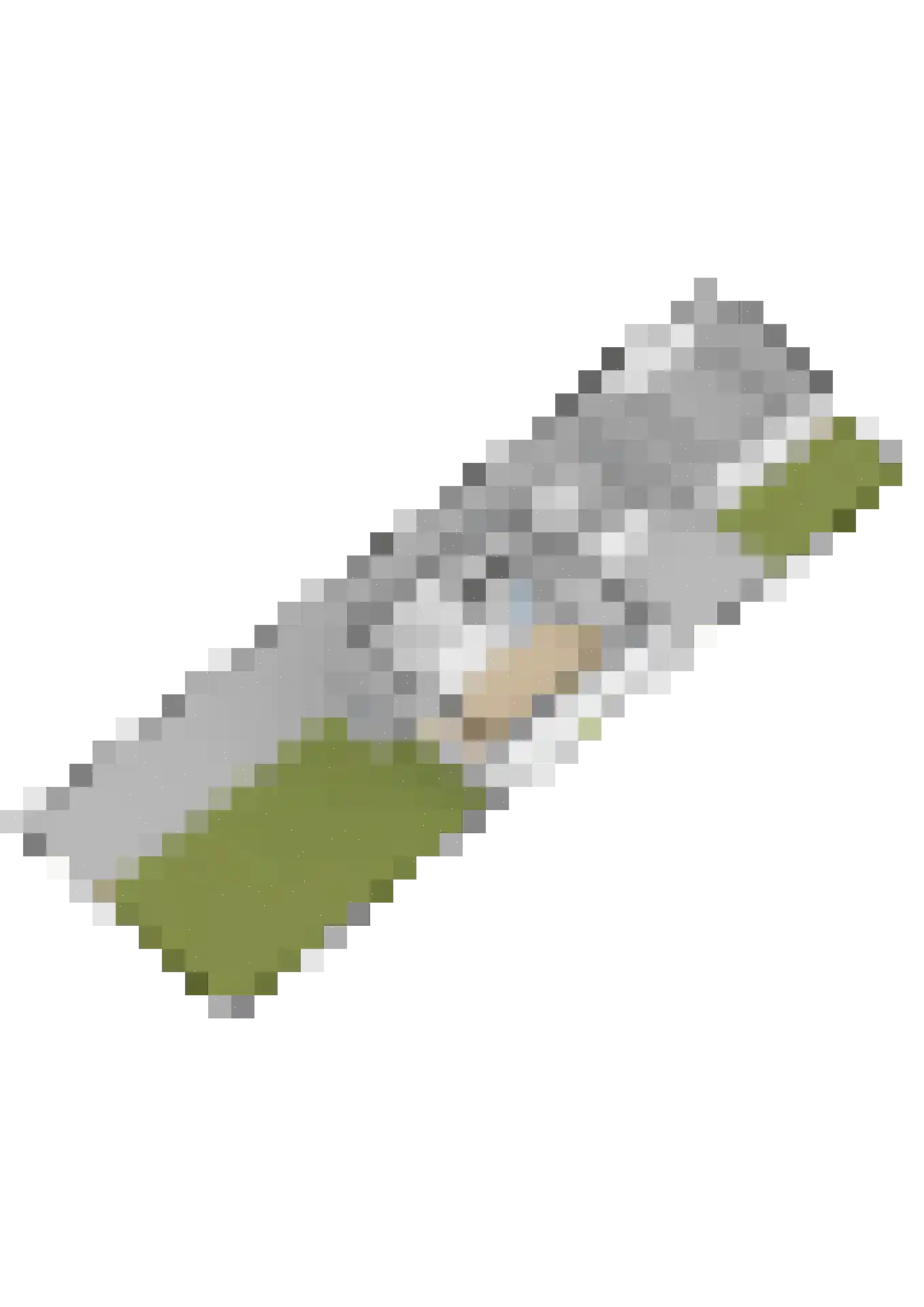 Langedyk 21 Alde Leie thumbnail 48