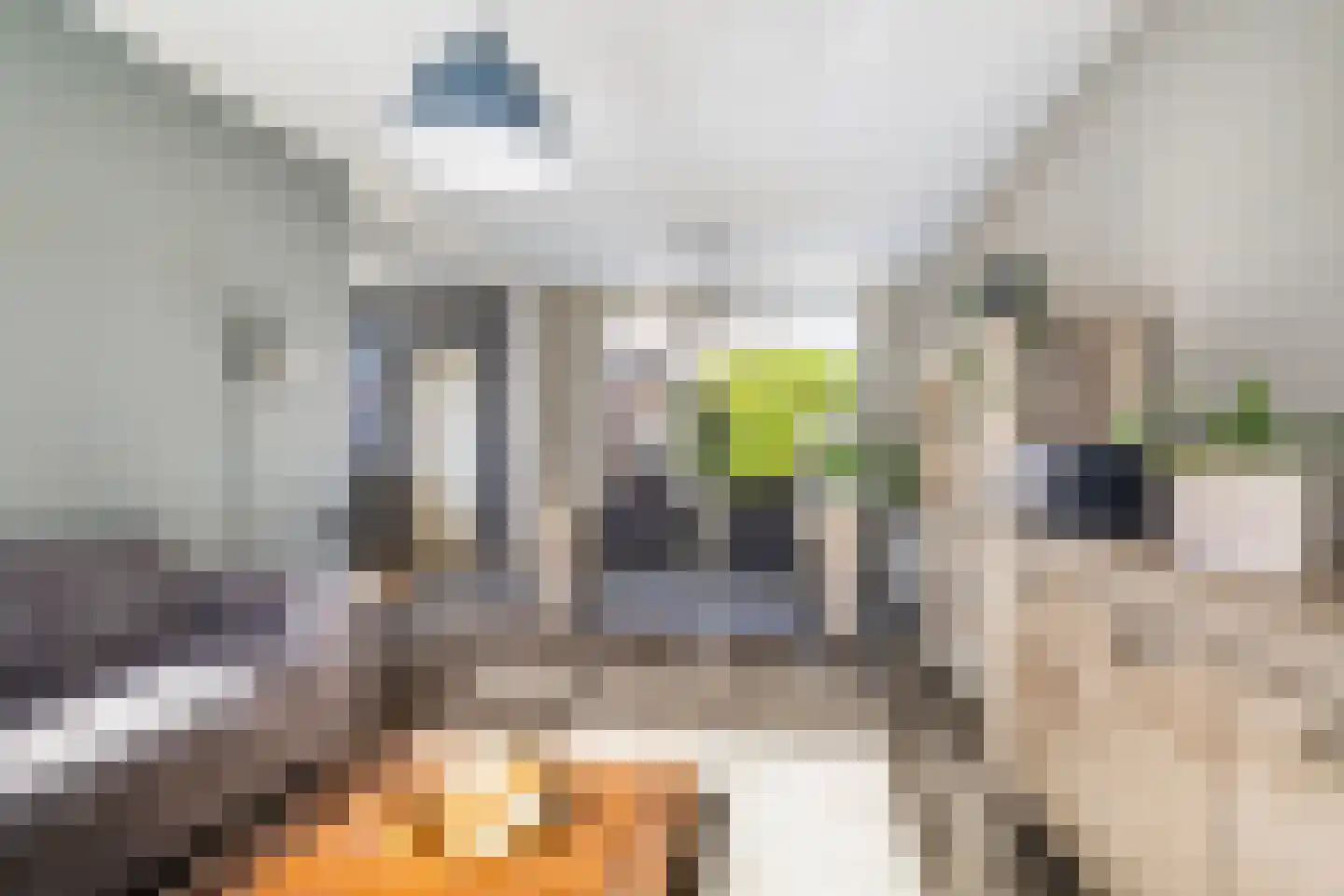 Langedyk 21 Alde Leie thumbnail 5