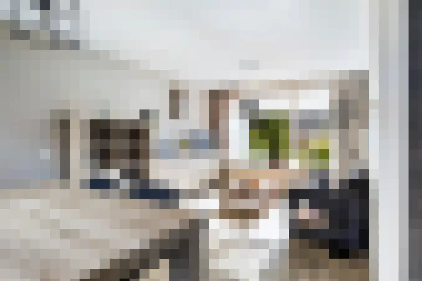 Langedyk 21 Alde Leie thumbnail 7