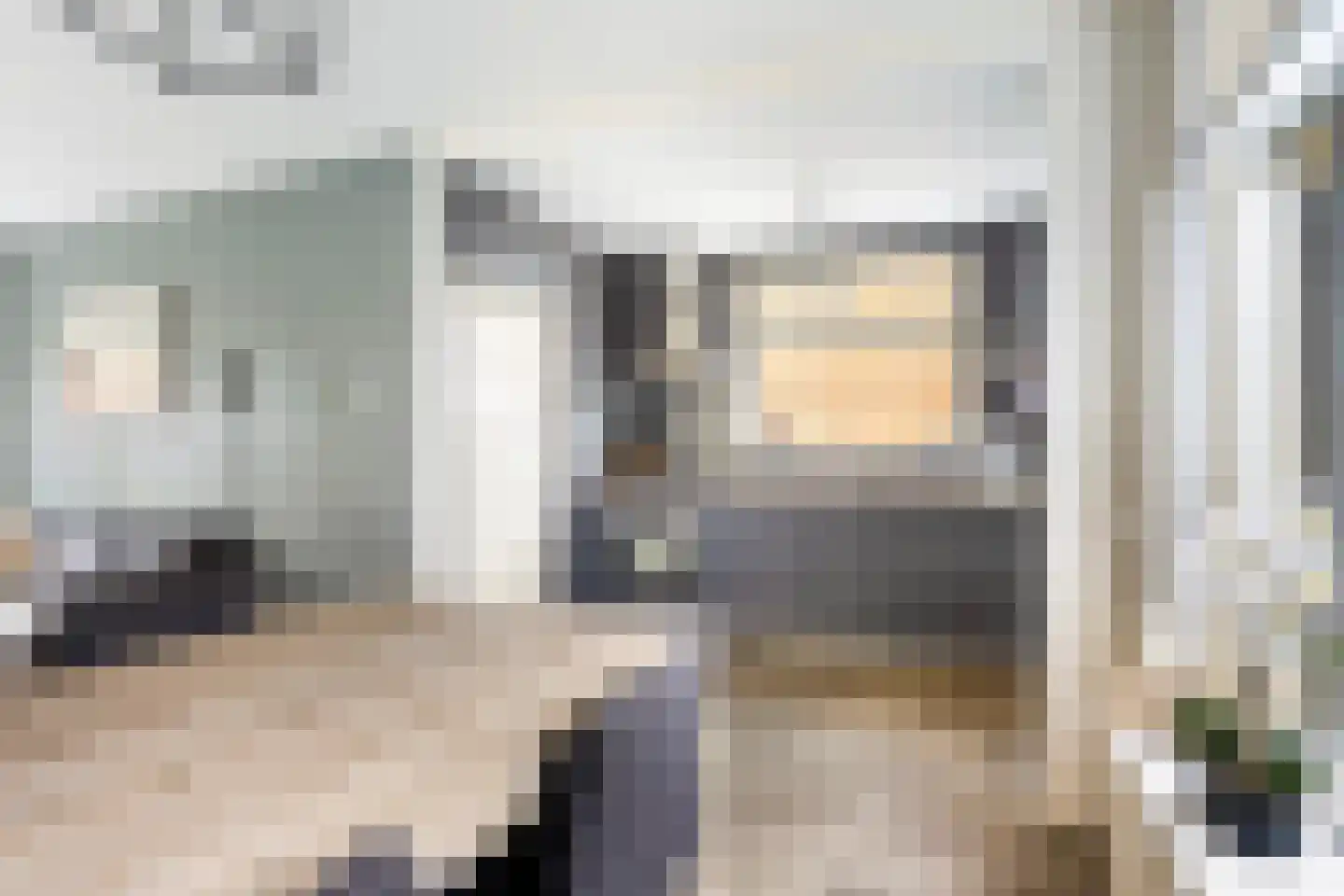 Langedyk 21 Alde Leie thumbnail 9